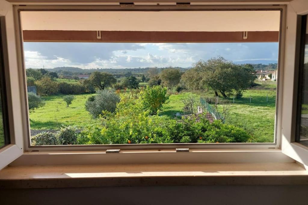 Casa Alegria - The Orangery Διαμέρισμα Tomar Εξωτερικό φωτογραφία