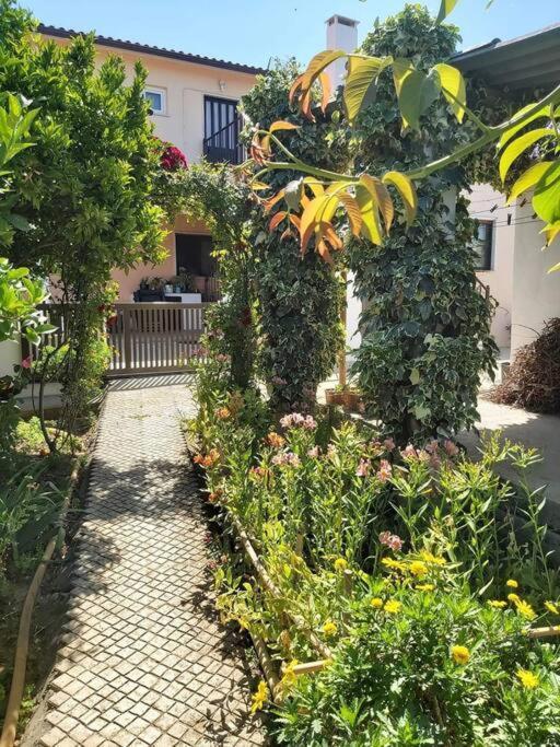 Casa Alegria - The Orangery Διαμέρισμα Tomar Εξωτερικό φωτογραφία